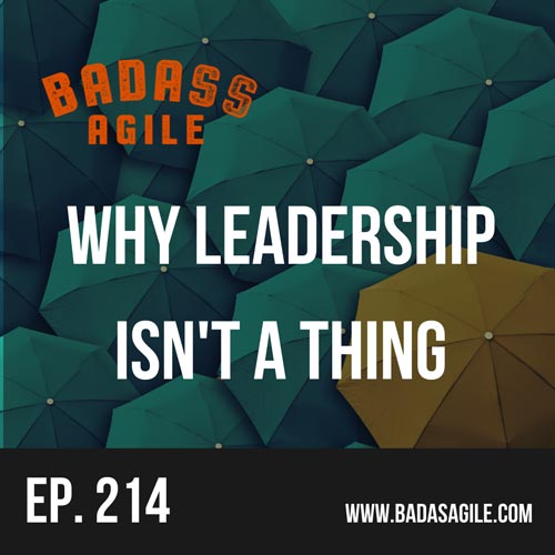 Episode 214 - Why Leadership Isn't A Thing